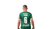Regionalliga Plume Sticker by VfB Lübeck