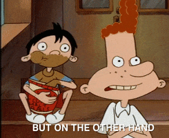 hey arnold nicksplat GIF