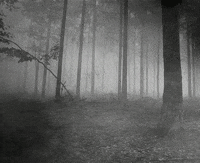 Fog GIF