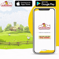 Zorabian Chicken GIF by Zorabian Foods