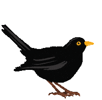Bird Eating Sticker by Sudelsurium