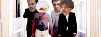 big cat vegas GIF by Barstool Sports