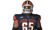 Football Sport Sticker by Carson-Newman Athletics