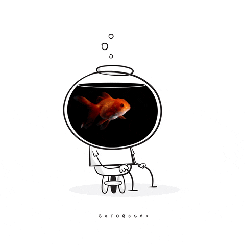 gutorespi giphyupload GIF