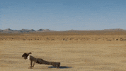 Push Ups Soular GIF by Kyle Dion