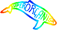 Superorganism Sticker by Domino Recording Co.