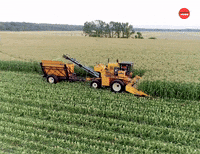 Work Farm GIF by BuzzFeed
