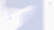 history channel river hunters GIF by HISTORY UK