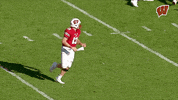 Happy College Football GIF by Wisconsin Badgers