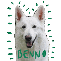 Dogs Sticker