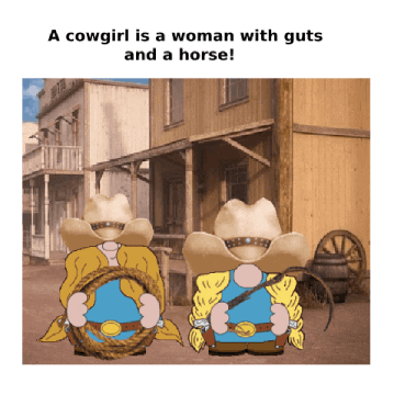 Wild West Gnome GIF