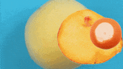 stop motion animation GIF by Phyllis Ma