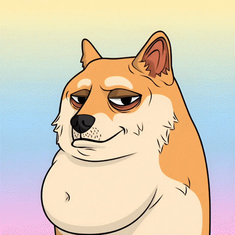 Shiba Inu Wow GIF by Doge Pound