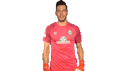 Jiri Pavlenka Dance Sticker by SV Werder Bremen