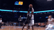 nba basketball GIF by Brooklyn Nets
