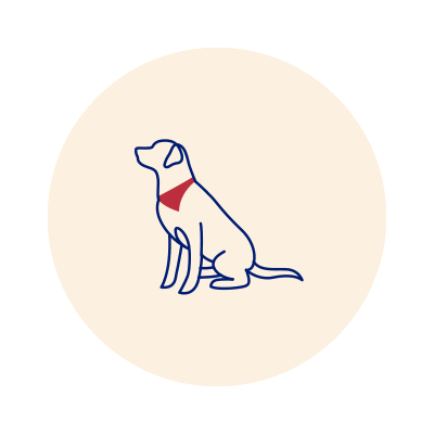 petlabco giphyupload Sticker