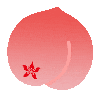 Happy Birthday Sticker by Hong Kong Airlines