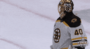 happy ice hockey GIF by NHL