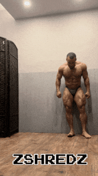 GIF by ZShredz