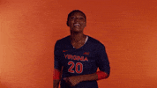 VirginiaAthletics uva virginiasports uvavolleyball virginia volleyball GIF