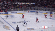 hockey goal GIF by ONE World Sports