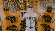 Baseball Bison GIF by NDSU Athletics