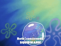 season 1 GIF by SpongeBob SquarePants