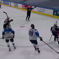 Ice Hockey Nhl GIF by USA Hockey