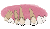 Dentistdoodles Sticker