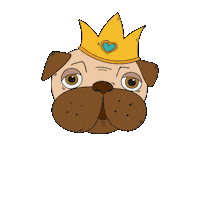 Alexmedranojr dog puppy dogs king Sticker