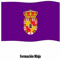 Flag Spain GIF by Formación Ninja