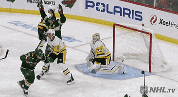 Celebrate Ice Hockey GIF by NHL
