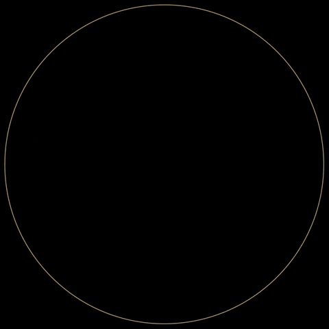 Ava GIF by Alexandra Villarroel Abrego