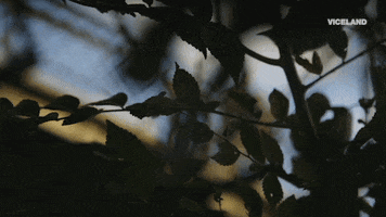 GIF by CYBERWAR