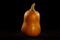 Stop Motion Animation GIF by brittany bartley