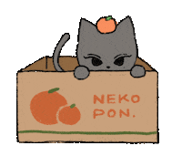 Cat Sticker