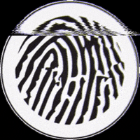 rootsandardorgals rootandardor GIF