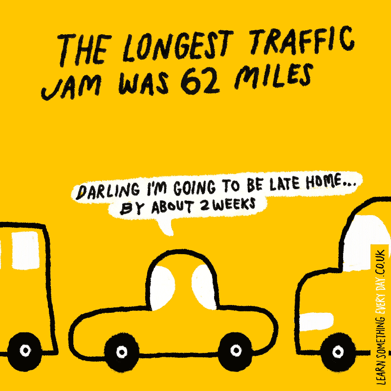 traffic jam cars GIF by Learn Something Every Day