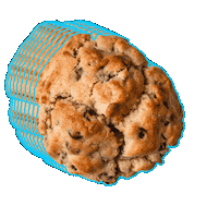 LionCubsCookies cookie chocolate chip cookie 614 lion cubs cookies Sticker