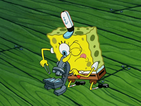 season 7 legends of bikini bottom: the curse of the hex GIF by SpongeBob SquarePants