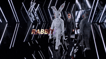 fox tv GIF by The Masked Singer