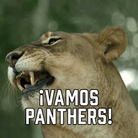 ยกVamos Panthers!