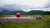the heart she holler GIF by Adult Swim