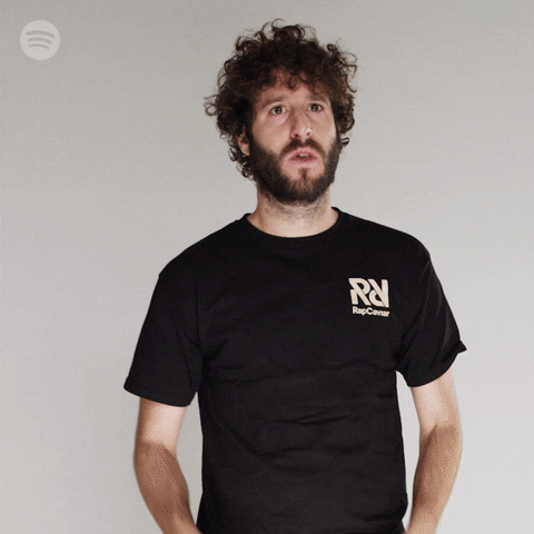 lil dicky wow GIF by Spotify