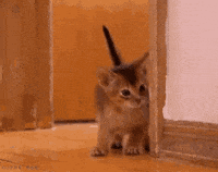 sexy share GIF