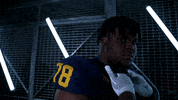 Go Blue Ncaa Football GIF by Michigan Athletics