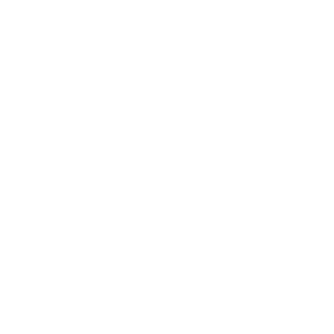 Austin Tx Art Sticker by Kong Screenprinting