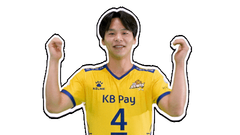 Kb스타즈 Sticker by KB STARS VOLLEYBALL CLUB