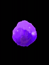 Vulcan Salute GIF by Star Trek