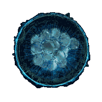 Recovery Aplicacao Sticker by Equipamentos médicos para estética corporal e facial